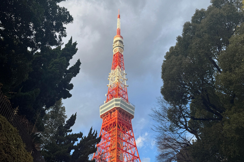 Tokyo: Tokyo Full-Day Customisable City Tour Driver / Guide
