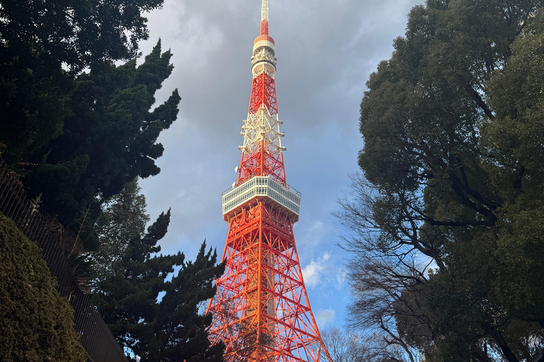 Tokyo: Tokyo Full-Day Customisable City Tour Driver / Guide