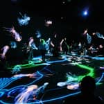 Biglietto d'ingresso per lo spazio d'arte immersiva VIDENIE