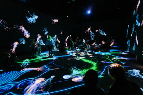 VIDENIE Immersive Art Space Entry Ticket