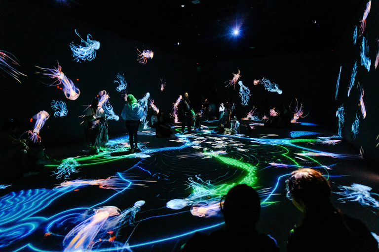 VIDENIE Immersive Art Space Entry Ticket