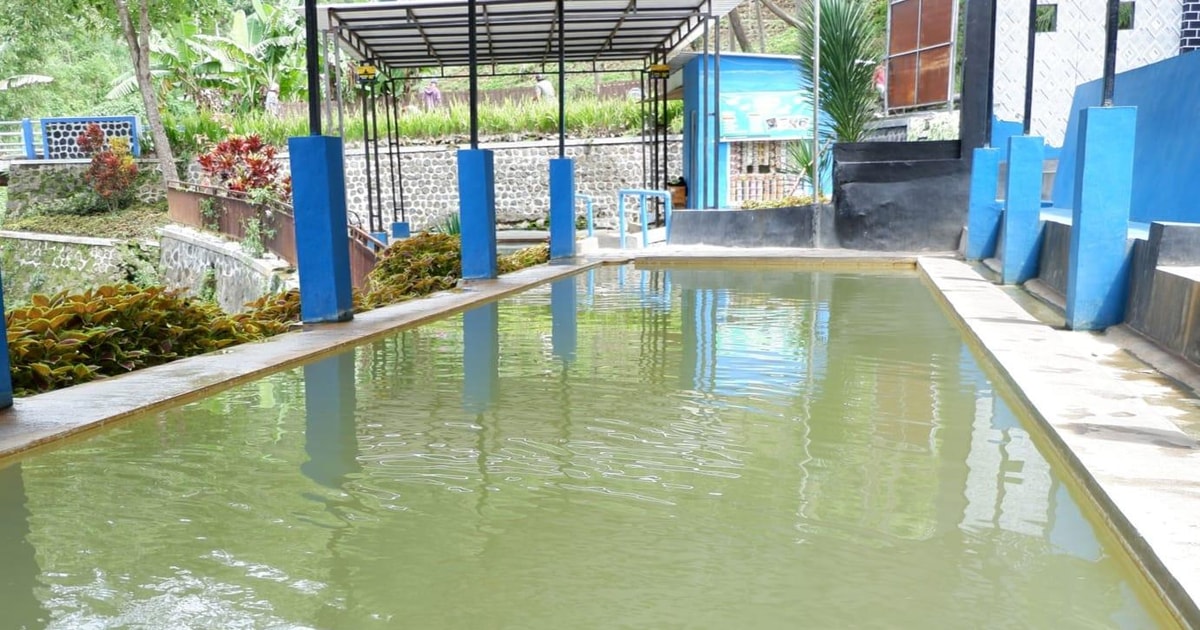 From Banyuwangi: Visit Blawan Hotspring & Acid Waterfall | GetYourGuide