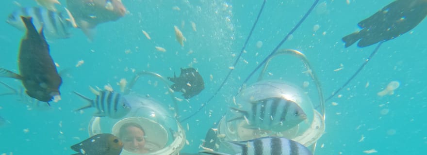 Promenade sous-marine et plages dans le Nord avec transport