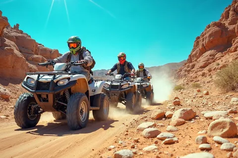 Hurghada: Desert Quad Bike and Buggy Adventure with Transfer