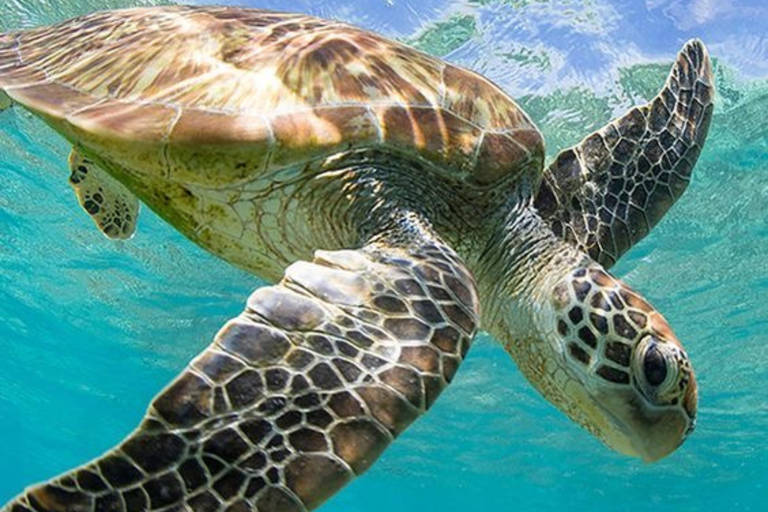 Hiriketiya: Coastal Boat Ride & Guided Snorkeling Tour