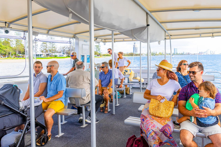 Surfers Paradise: Crucero turístico de 2 horas por la Costa Dorada