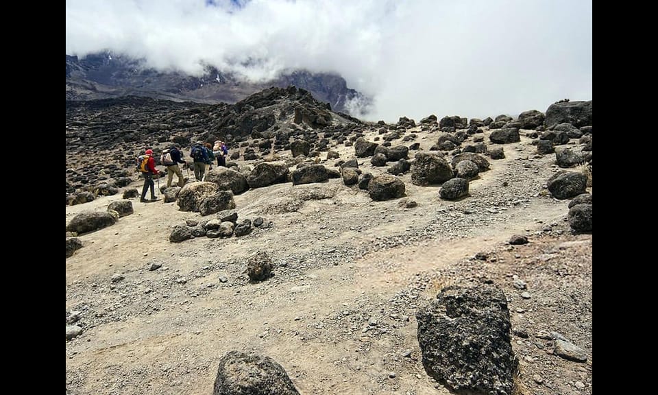 Kilimanjaro Climbing Via Lemosho Route | GetYourGuide