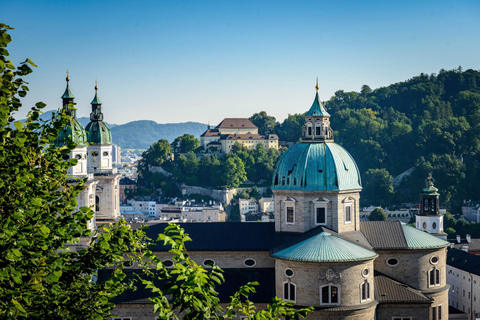 Vienna: escursione guidata privata a Hallstatt e Salisburgo