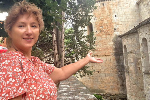 Girona: Old Town Walking Tour with Local Guide