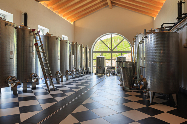 Langhe: tour particular de vinhos e degustação com um sommelier local