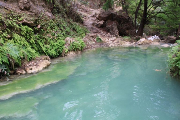Oaxaca: Santiago Apoala Waterfall Day Trip with Transfers