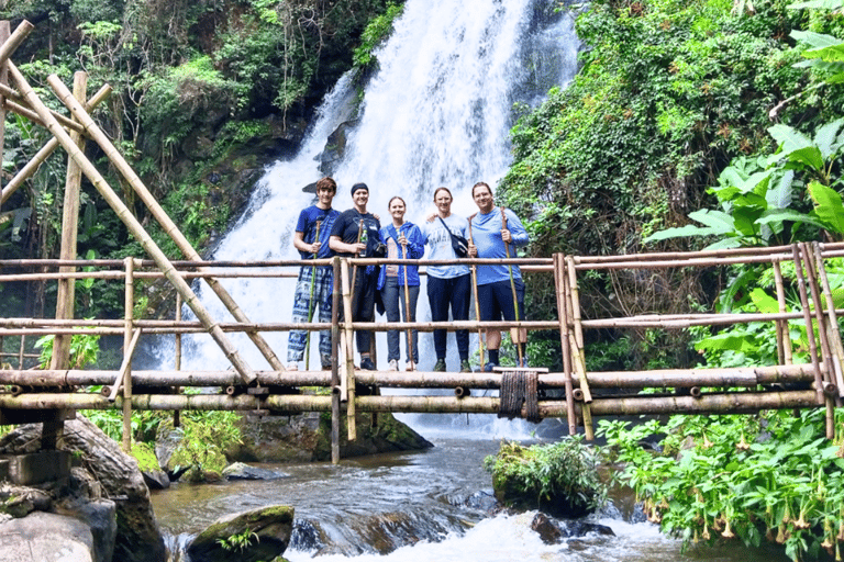 Chiang Mai: Santuario etico degli elefanti e escursione a Doi InthanonChiang Mai: Santuario etico degli elefanti e escursioni a Doi Inthanon