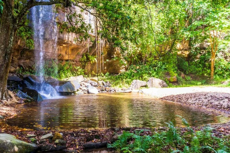 Shimba Hills Reserve Day Trip: From Mombasa and Diani