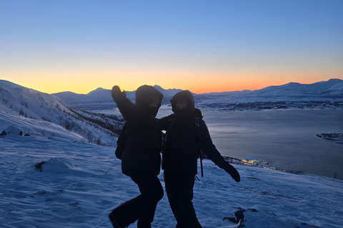 Tromsø: Fjellheisen Local Guided Hike