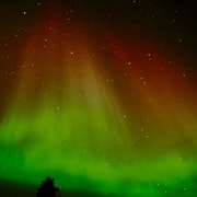 Luleå: Jagd nach den Nordlichtern mit Hotelabholung & Lagerfeuer