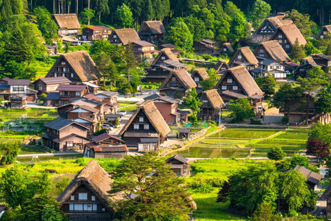 Nagoya: excursão de um dia a Hida Takayama e à vila de Gassho-zukuri