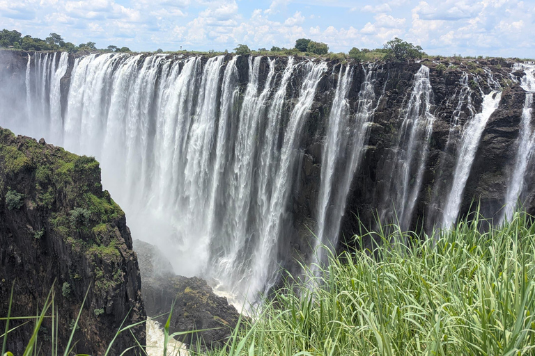 Victoria Falls Spectacular: Full-Day Zimbabwe & Zambezi Tour