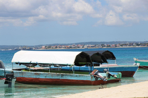 Zanzibar private tour:Swimming with dolphins &Mnemba snorkel