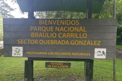 COSTA RICA:UPPTÄCK COSTARICAS VILDA DJUR-STRAND &amp; SKOG 2VECKOR