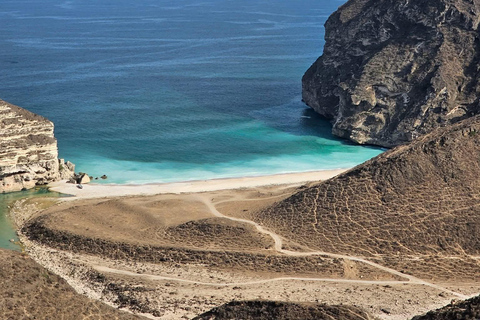 Salalah: Frankincense Trail, Camel Farm, and Beach Tour