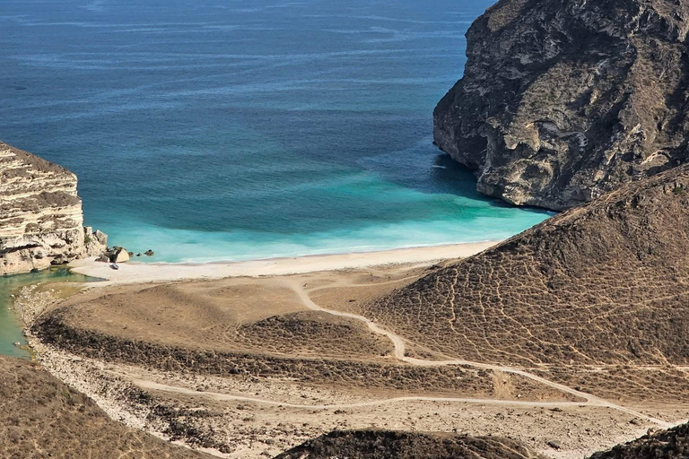 塞拉莱：乳香之路、骆驼农场和海滩之旅