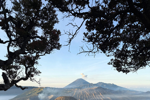 Yogyakarta: Mount Bromo & Ijen Crater Tour with Train