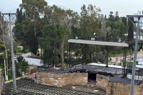 Carthage and Sidi Bou Said Tour Carthage and Sidi Bou Said Tour