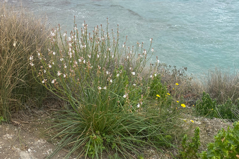 Private driving tour to Canelobre Caves & Busot & Campello