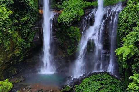 Bali: Lovina Dolphin Watching, Sekumpul Waterfall & Lunch Lovina Dolphin Watching, Sekumpul Waterfall & Lunch