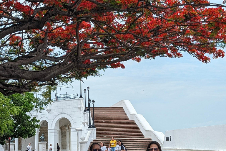 Panama City: Canal, Old Town, and Amador Causeway Tour