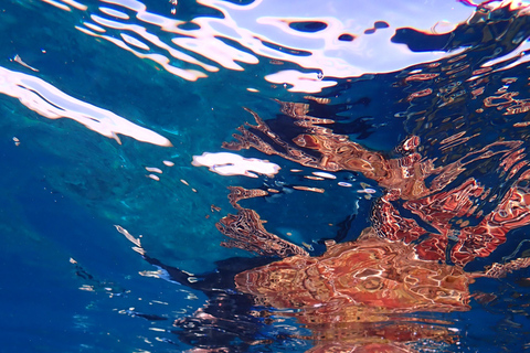 From Naha: Kerama Islands Snorkeling Boat Trip with Turtles