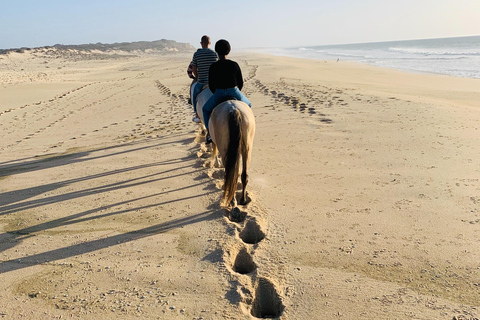 Djerba - Horseback ride to Flamingo Island