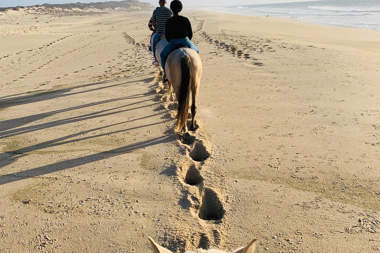 Djerba – Paardrijden naar het eiland van de flamingo&#039;sDjerba - Paardrijden naar het Roze Flamingo-eiland