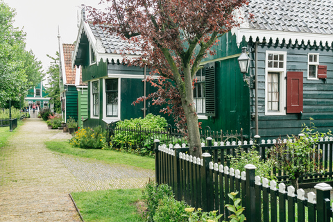 Amsterdam: Live-Guided Zaanse Schans & Cheese Tasting Tour Tour in Spanish