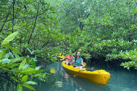 Zanzibar: wizyta w Stone Town i wycieczka kajakiem po lesie namorzynowym