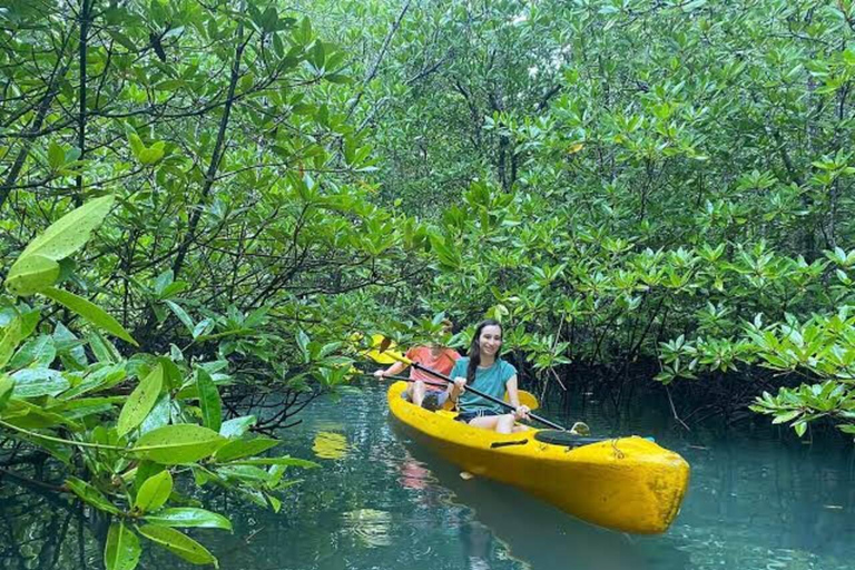 Zanzibar: wizyta w Stone Town i wycieczka kajakiem po lesie namorzynowym