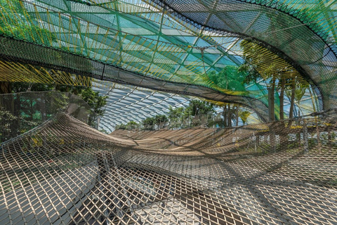 Singapore: Jewel Changi Airport Ticket Mastercard ® Canopy Bridge + Complimentary Canopy Park