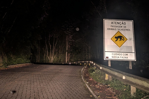 Teresópolis : circuit découverte de la faune de la forêt atlantiqueTeresópolis : Excursion à la découverte de la faune de la forêt atlantique