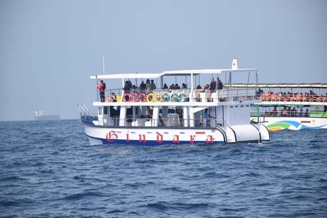 Mirissa: walvis- en dolfijnspotten met Geeth's Crew