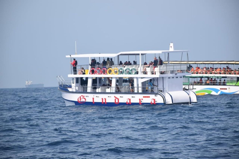 Mirissa: Whale & Dolphin Watching Cruise with Geeth’s Crew