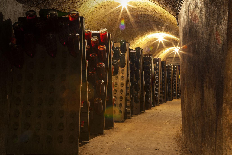 图尔-苏尔-马恩：酒窖参观与香槟品鉴马恩河畔图尔：酒窖参观和香槟品尝