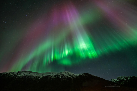 Tromsø:Northern Lights Tour with Photo and Suits.Local Guide Tromsø: Northern Lights Tour with Photos and Warm Suits