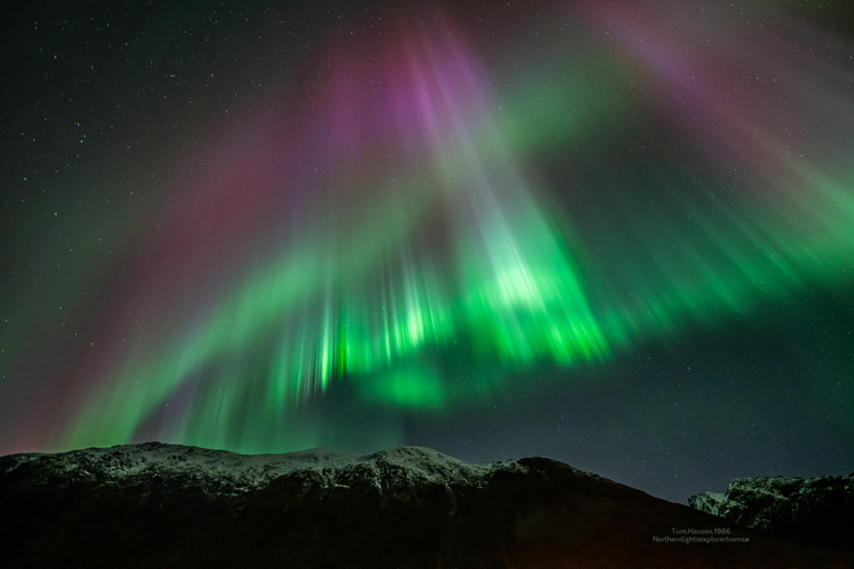 Tromsø:Northern Lights Tour with Photo and Suits.Local Guide Tromsø: Northern Lights Tour with Photos and Warm Suits
