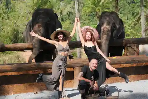 Krabi: Observation-Only Elephant Sanctuary Half-Day w/ Lunch