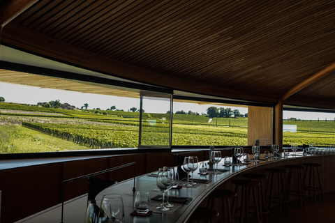 Bordeaux: St. Emilion wijn- en e-biketour met lunch