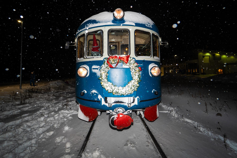 Rovaniemi Insider: Night train in Winter Forest