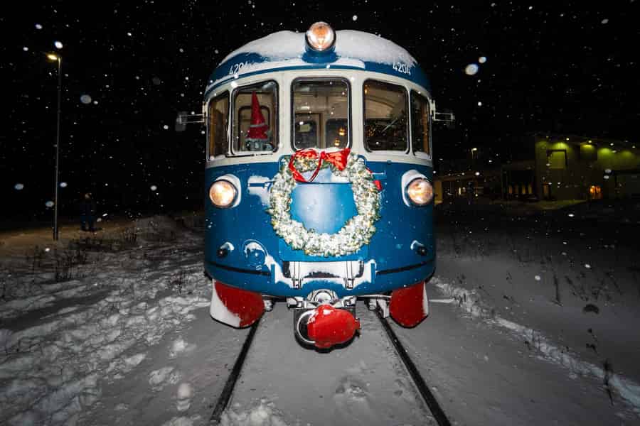 Rovaniemi Insider: Nachtzug im Winterwald. Foto: GetYourGuide Rovaniemi Insider: Nachtzug im Winterwald. Foto: GetYourGuide