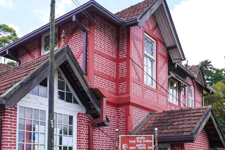 Colombo to Nuwara Eliya Transfer with Tea Factory Visit