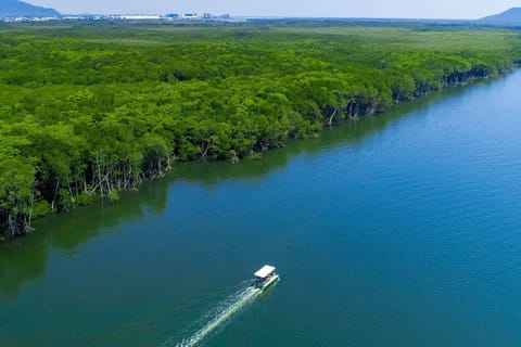 Cairns: Tinny (Dinghy) Boat Hire - Image 2
