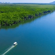 Cairns: Tinny (Dinghy) Boat Hire